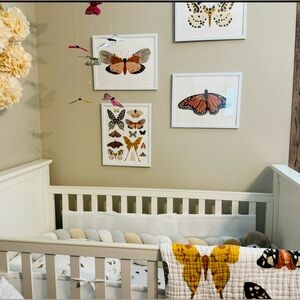 4- Pc Clementine butterfly Picture Set 
art prints all 11”X 14 rare set